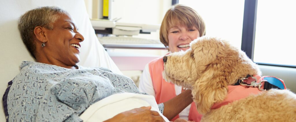 A woman lays in a hospital bed, petting a dog that lays on the bed and looks at her while a smiling worker sits nearby