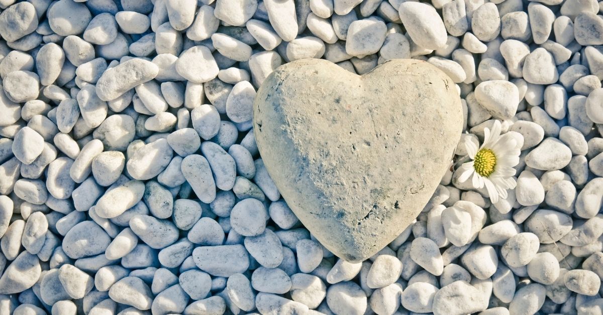 A heart-shaped stone.