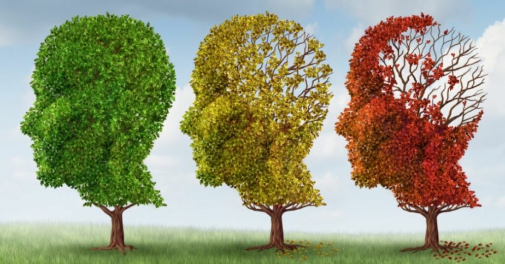 Tree concept to illustrate dementia.